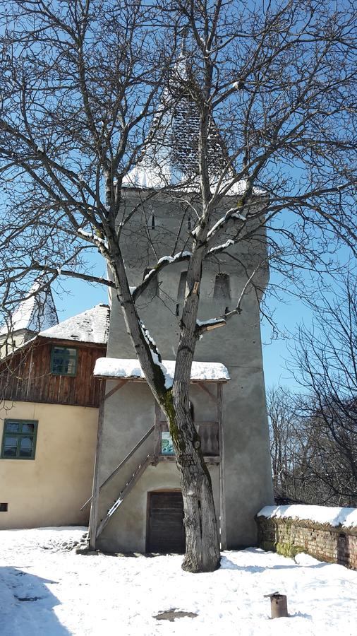 Ferienwohnung Casa Marcus Sighişoara Exterior foto
