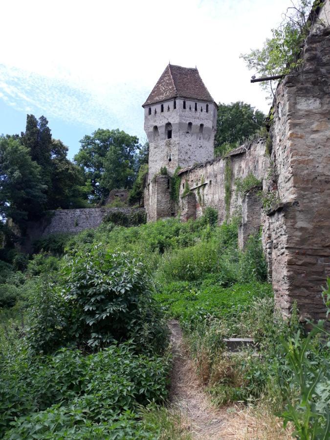 Ferienwohnung Casa Marcus Sighişoara Exterior foto